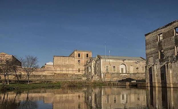 IMagen de archivo del molino. 