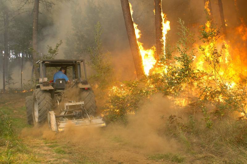 Unos 350 brigadas, 220 motobombas, cuarenta palas y una veintena de medios aéreos trabajan en la comunidad gallega para combatir los incendios que arrasan más de 4.000 hectáreas en 146 nuevos focos desde el viernes