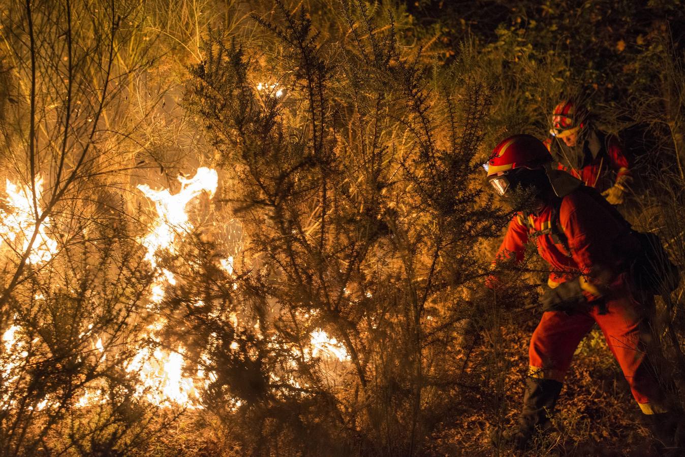 Los servicios sanitarios han atendido durante la noche a multitud de personas afectadas por inhalación de humo, así como a ocho personas por quemaduras, de las cuales tres permanecen ingresadas