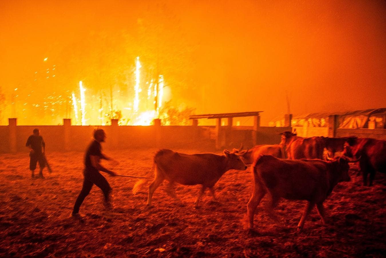 Un hombre lucha contra las llamas en un incendio forestal declarado en Vieira de Leiria en Marinha Grande