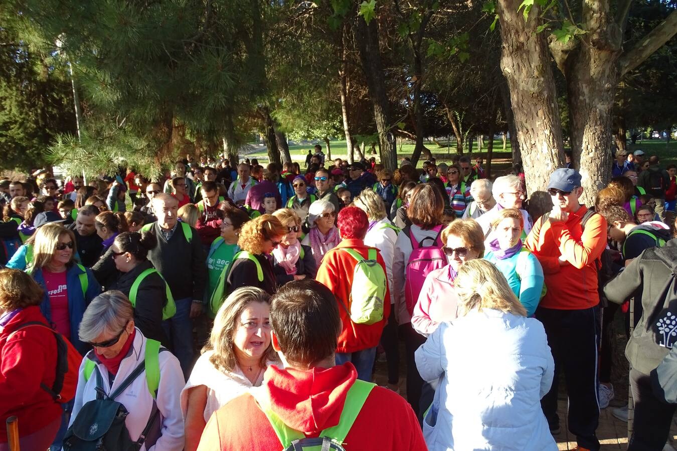 La VI Marcha de La Vereína a favor de la Asociación Española Contra el Cáncer finalizó en la Plaza Mayor