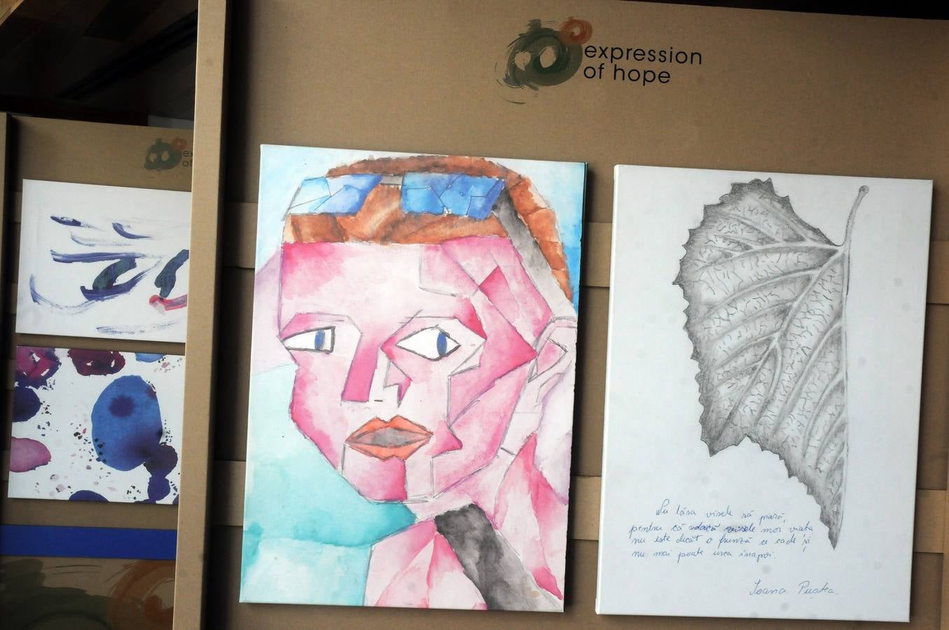 Las obras de la exposición "Expression of hope"(expresión de esperanza) han sido creadas por pacientes de enfermedades raras con el fin de conncienciar y sensibilizar a la sociedad de estas patologias. Las obras se presentan en cuadros, pinturas y dibujos en el salón de Pasos Perdidos de la Asamblea de Extremadura.