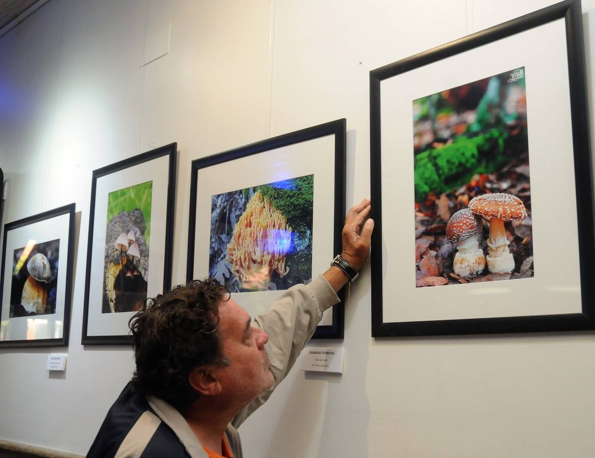 Marco Sánchez expone sus fotografías en el café Alaudae durante todo el mes de noviembre, recreándose en una de sus pasiones, la micología. Fotografías realizadas en noviembre en la dehesa y bosques cercanos a la capital de extremadura, dando forma a los instantes efímeros de los secretos naturales que brotan de la tierra expuestas en macrofotografia de la naturaleza