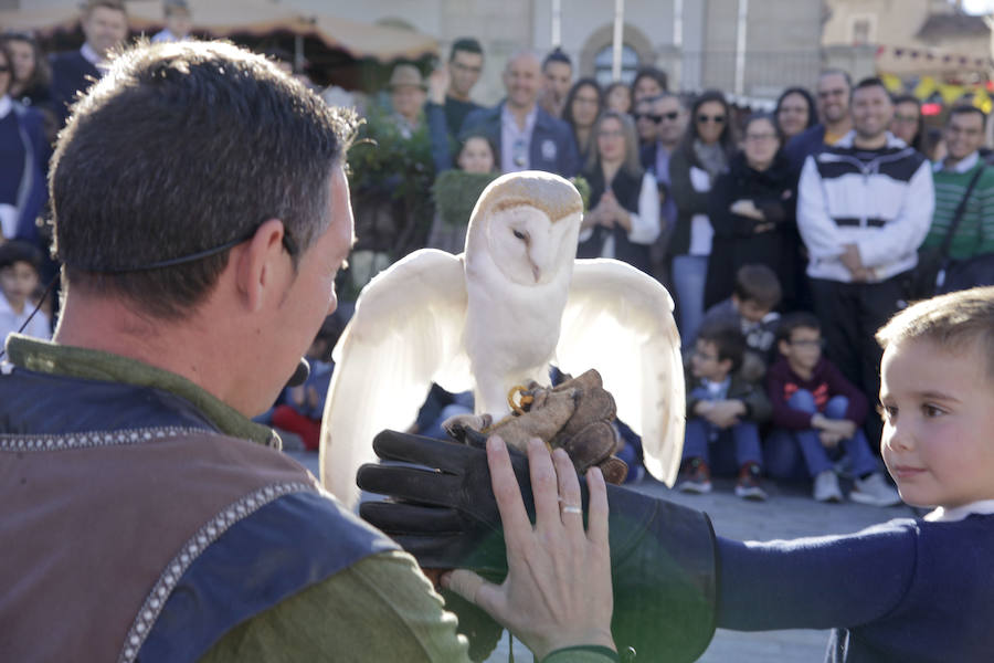 Última jornada del evento, que este año ha celebrado su edición número 17