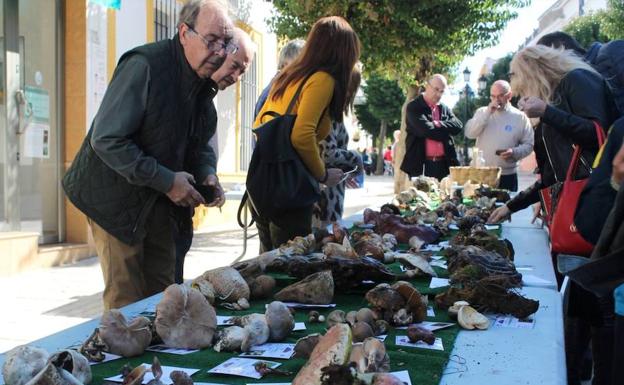 Exhibición de ejemplares, el año pasado. 