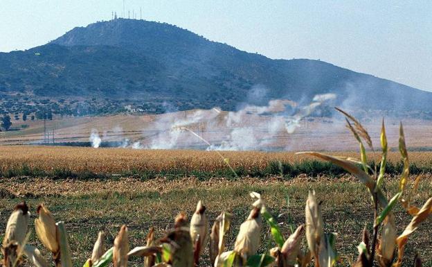 Quema de rastrojos de una explotación de maíz cerca de Arroyo de San Serván.