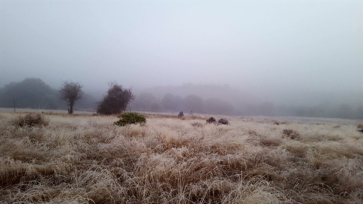 La masa de frío polar trae a Extremadura temperaturas bajo cero grados y bancos de niebla