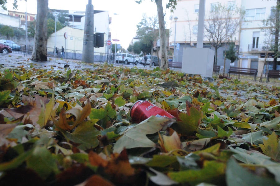 Mérida registró vientos fuertes que provocaron caídas de ramas,alguna palmera y cortes de luz en el centro de la ciudad