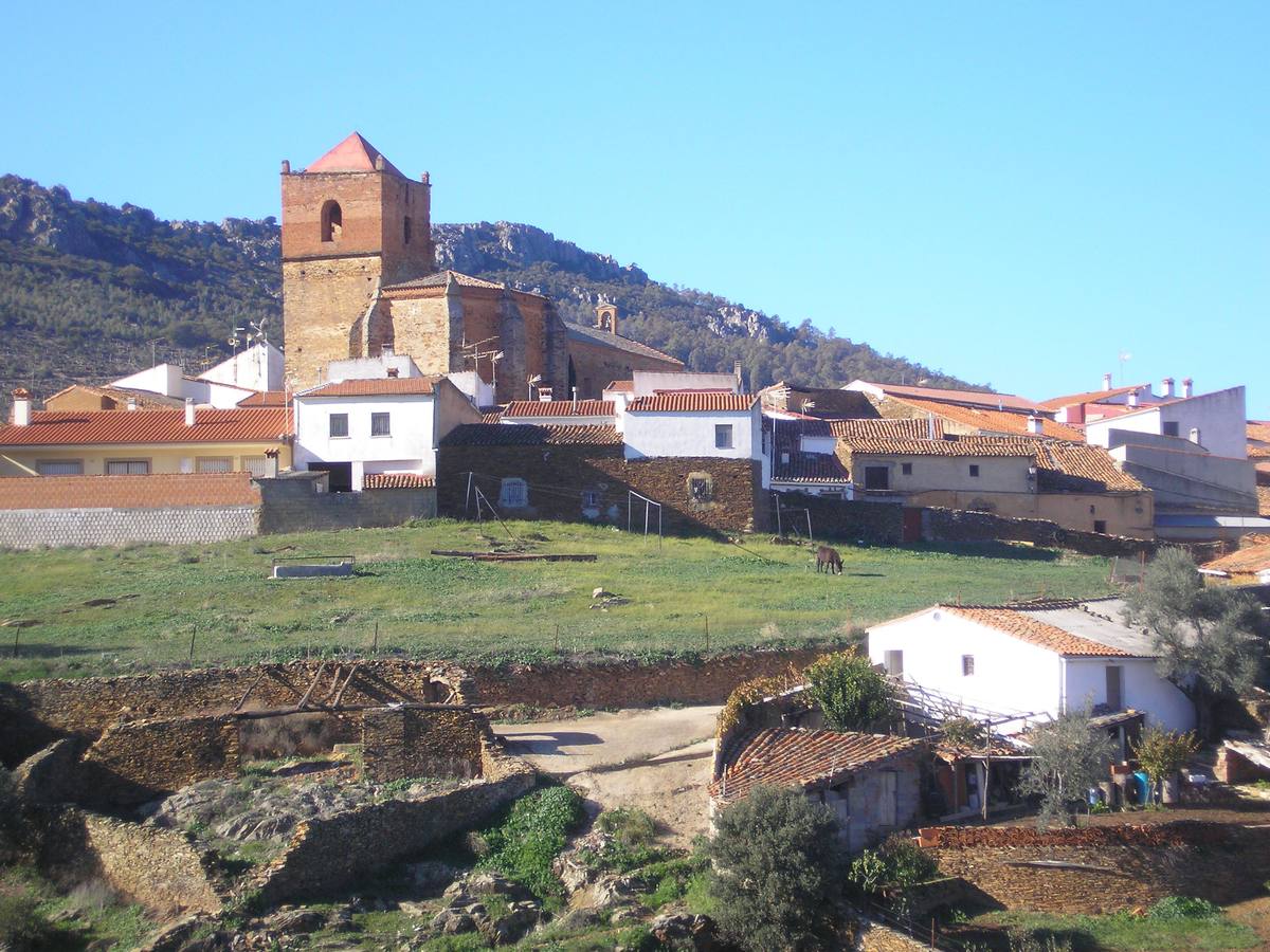 5- Se asegura que Higuera de Albalat cambió su ubicación por una plaga de termitas