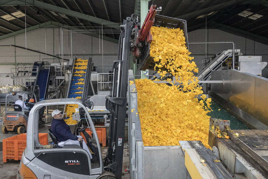 En una fábrica de Villafranco del Guadiana elaboran vegetales ultracongelados que se venden en supermercados de Europa, América y Asia