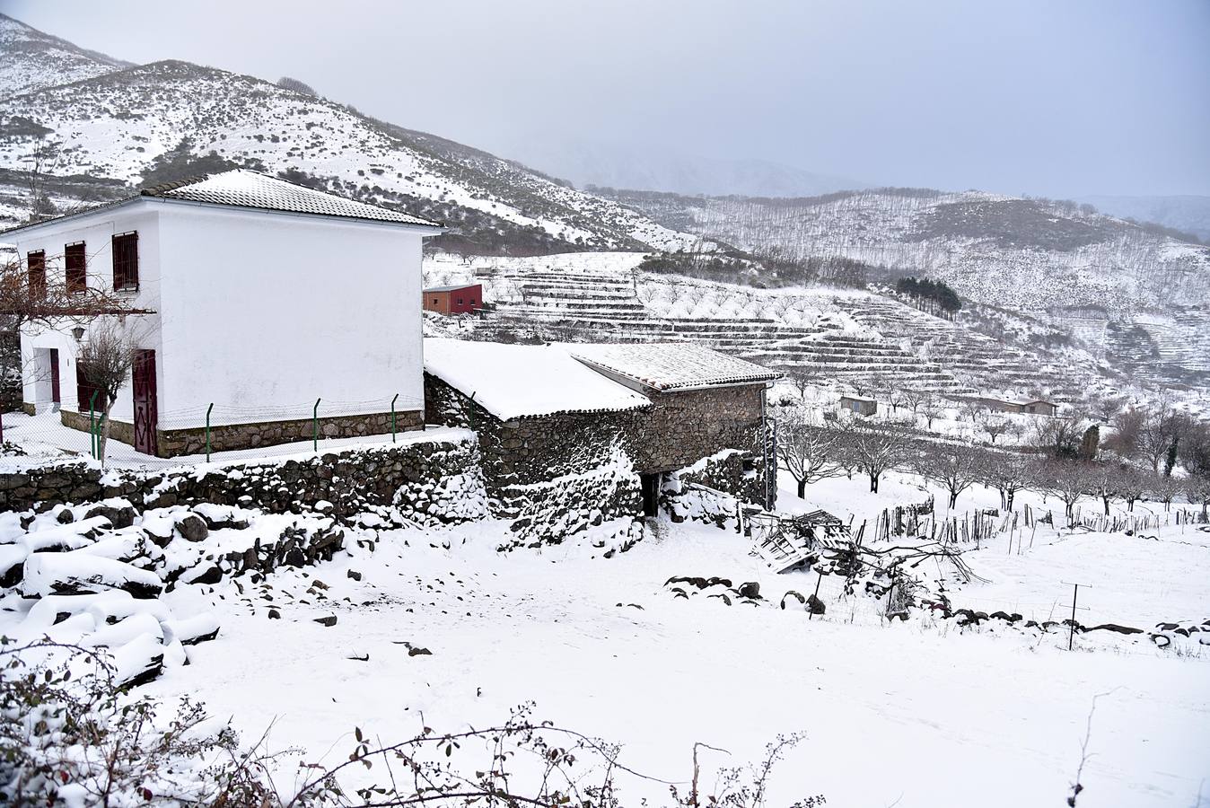 El temporal de nieve que azota a media España ha llegado a localidades del norte como Piornal o Hervás, del este a Siruela y en el sur a Monesterio