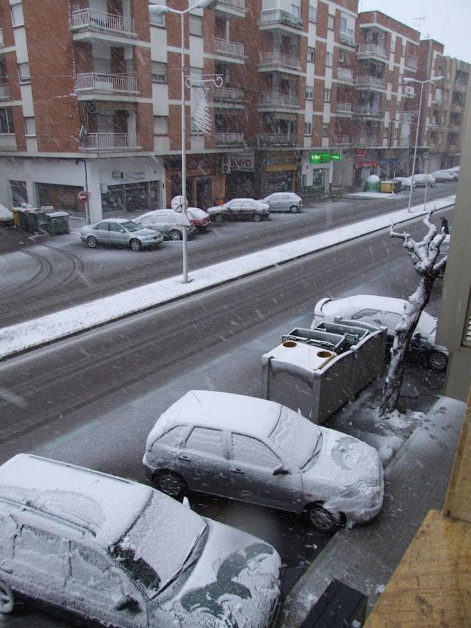 El 10 de enero de 2010 la mayor parte de Extremadura se cubrió de blanco. En la imagen, los coches nevados en Don Benito.