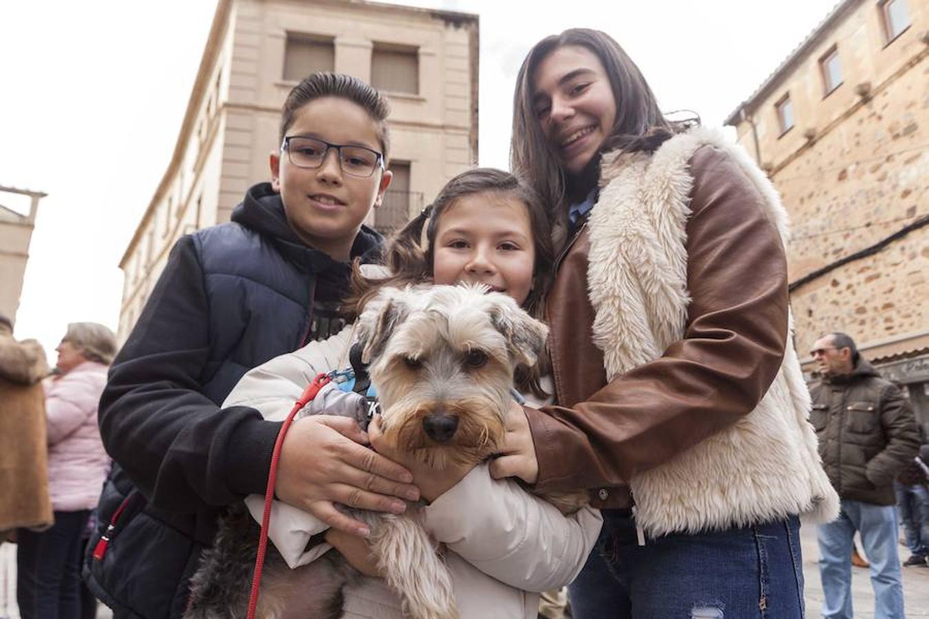 Las mascotas se dieron cita en la Plaza de San Juan para asistir a la bendición 