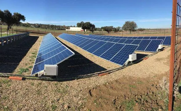 Acaba la instalación de placas fotovoltaicas en la piscifactoría de Casar de Cáceres