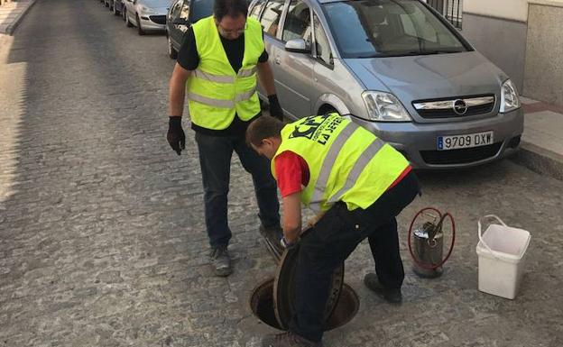 El Ayuntamiento de Badajoz gastará 9.111 euros en desratización y desinsectación hasta abril