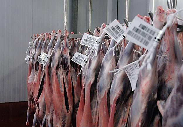Canales de cordero de la cooperativa Copreca, del grupo Ea Group, en Trujillo.
