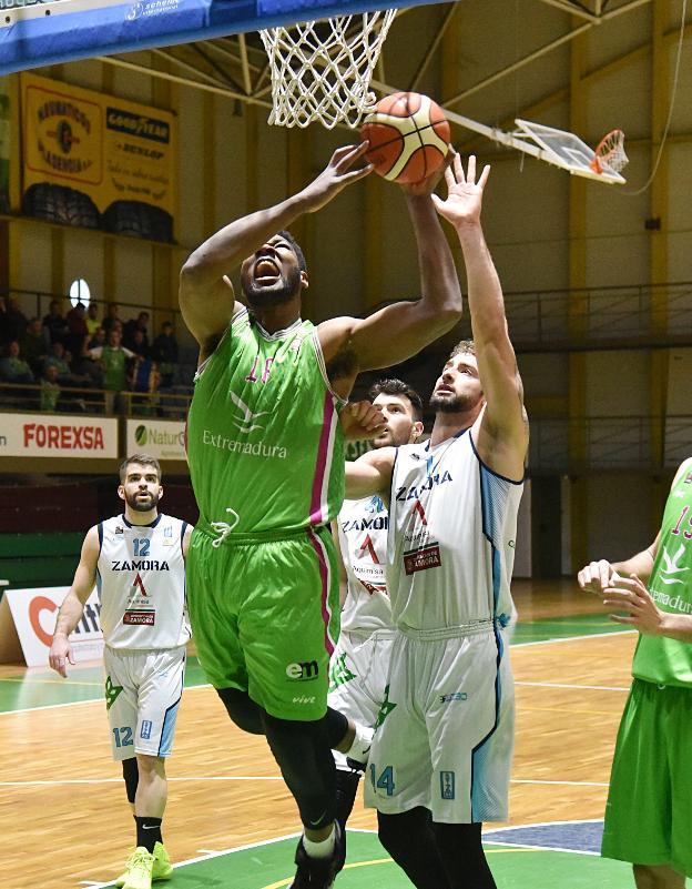 Seydou, ante Asanin. :: PALMA