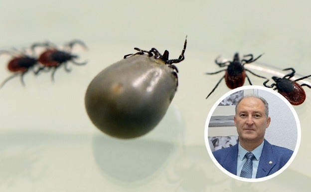 Garrapata. En detalle, José Marín, presidente del Colegio de Veterinaria de Badajoz::HOY