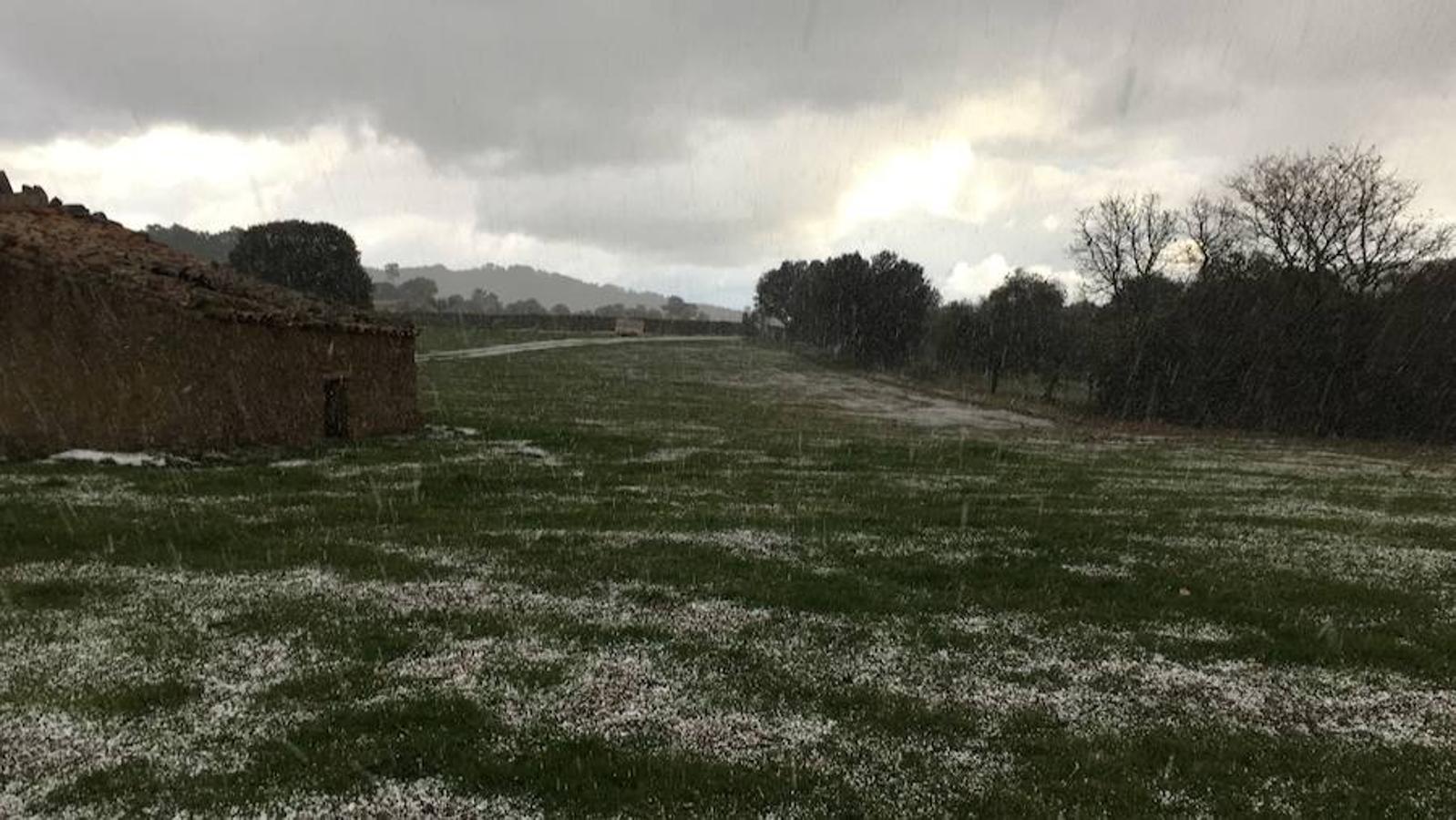 Los caminos y el campo se tiñen de blanco en Monesterio