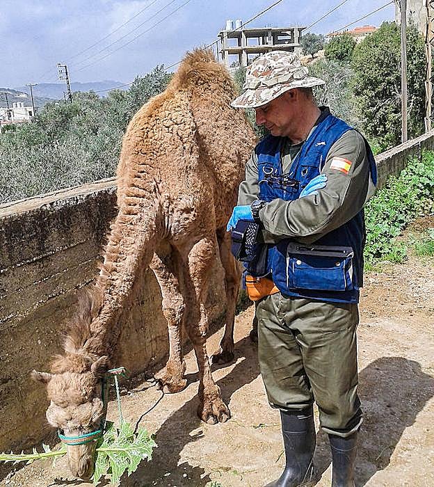 El profesor Joaquín Rey,en Líbano, durante su estancia.