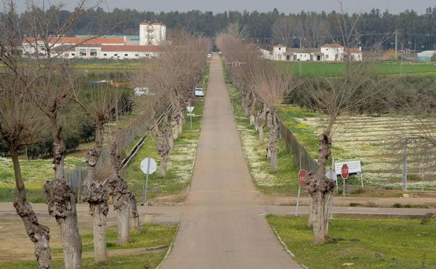 Cultivos en la finca La Orden, en Lobón::HOY