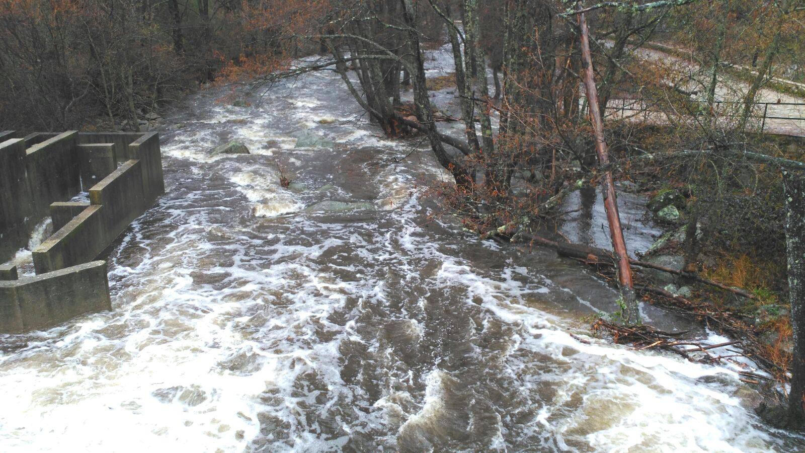 Torrente de agua en Jaraíz de la Vera:: JOAQUÍN BOTE