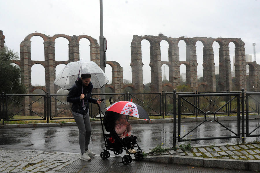 Lluvia en Mérida:: BRÍGIDO