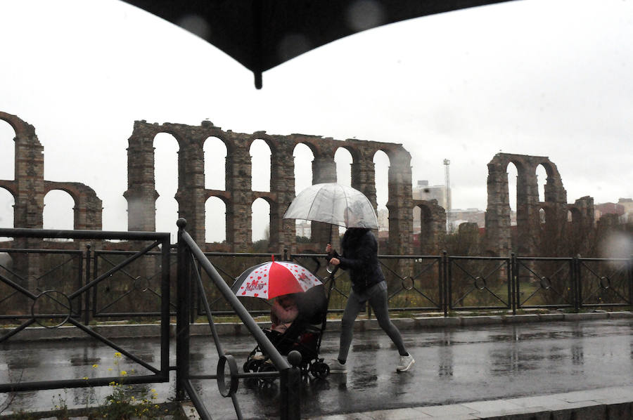 Lluvia en Mérida:: BRÍGIDO