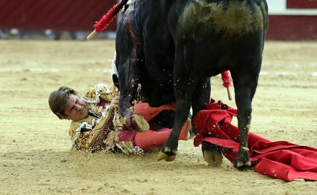 Imagen del momento en el que el toro Lancero embiste a El Juli en Bogotá el pasado 19 de febrero.