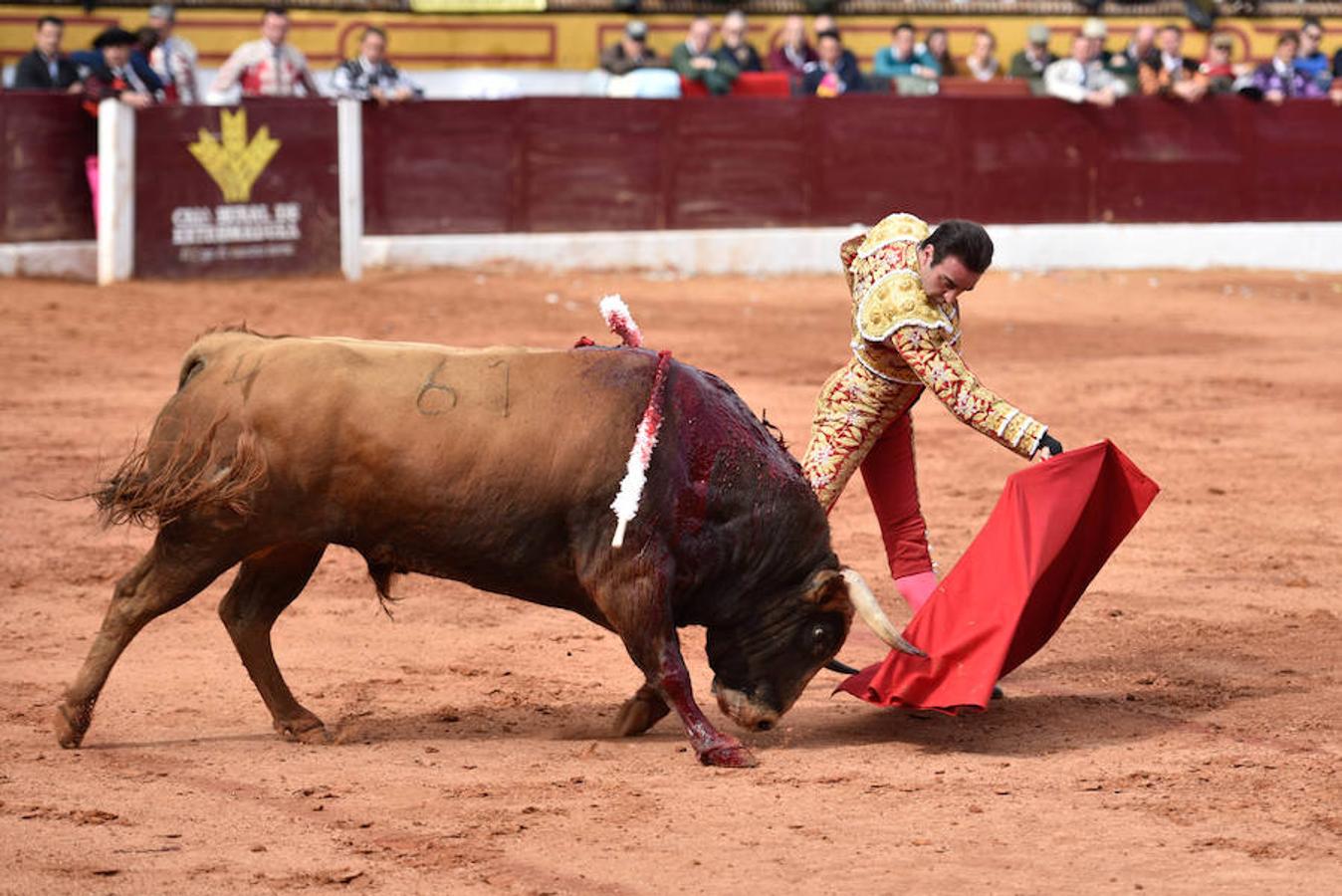 Espectáculo matinal del domingo.