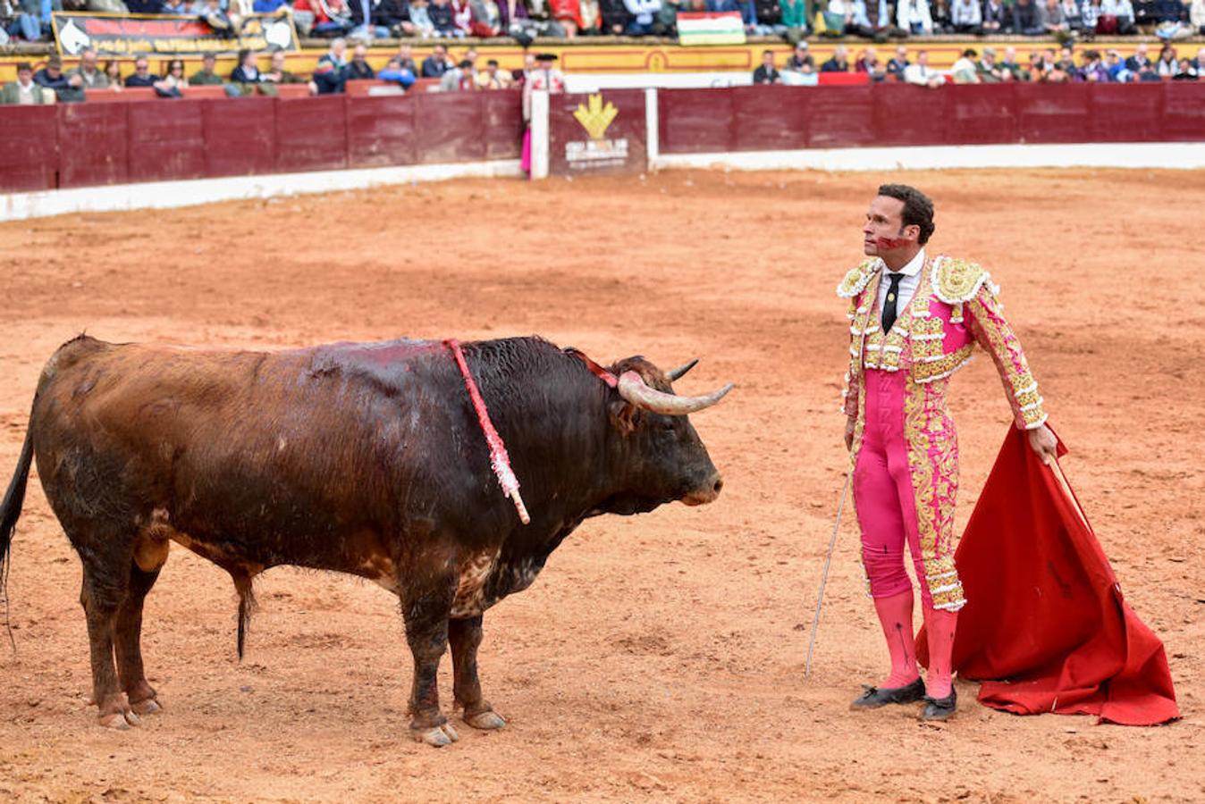 Espectáculo matinal del domingo.