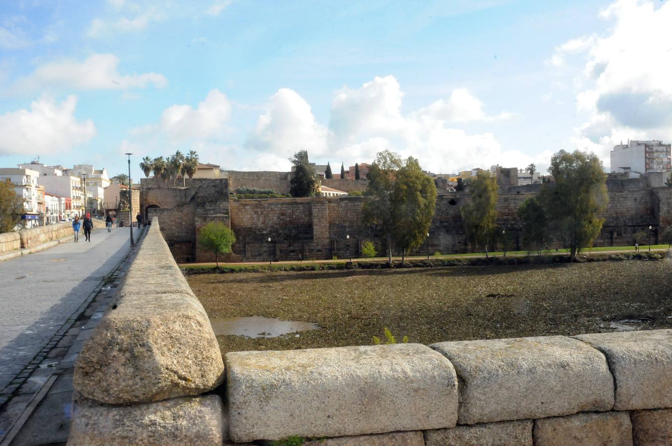 El tramo urbano del Guadiana ha sido tomado por la planta invasora