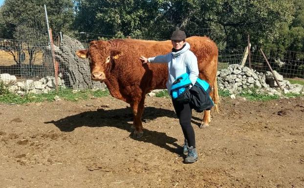 Guadalupe Elvira Egido cría vacuno de raza limusín en Pedroso de Acim:: HOY
