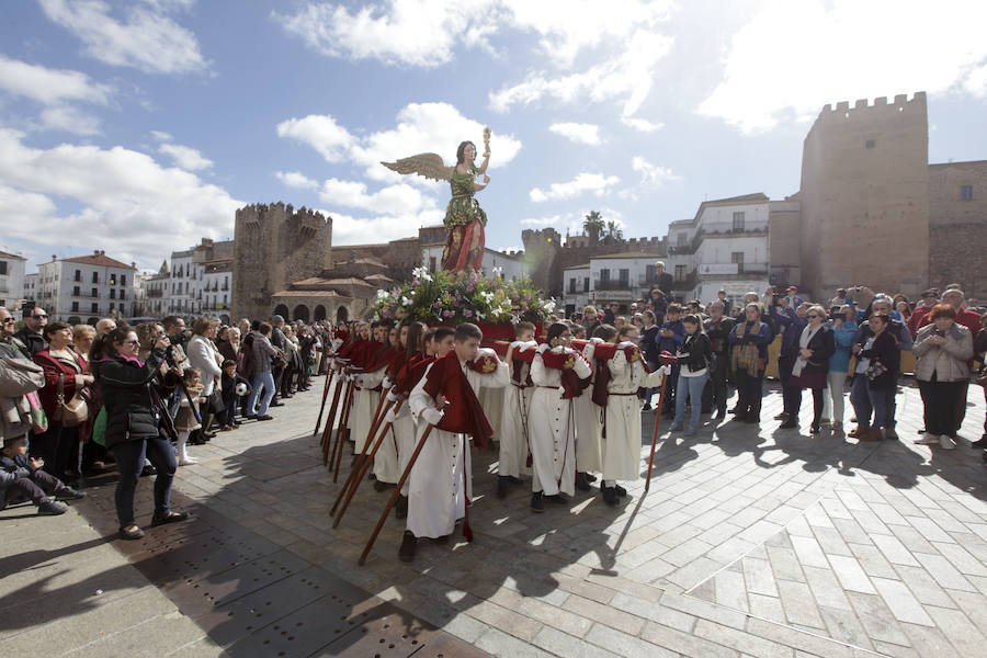 Cofradía de la Sagrada Cena y Nuestra Señora del Sagrario. 