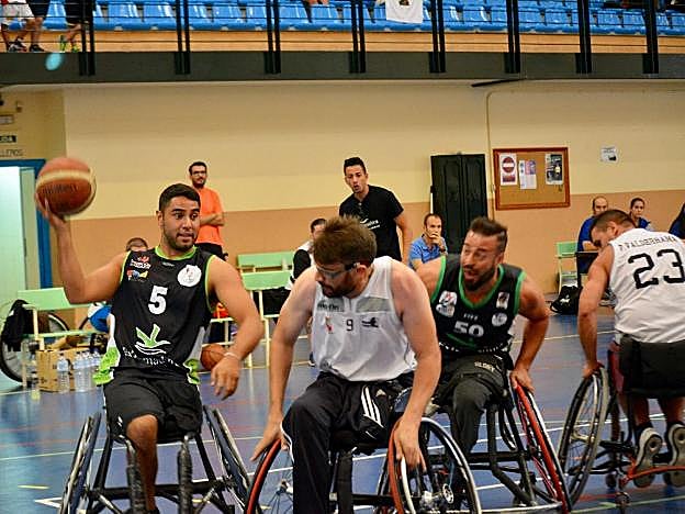 Salvador Sandoval. :: mideba