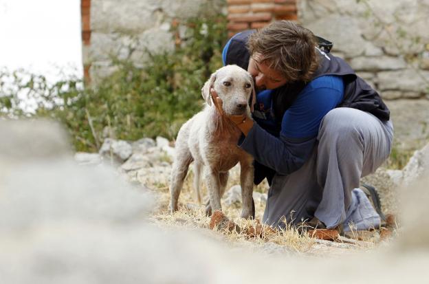 Goyo, cuidador de perros de un albergue de El Espinar (Segovia), acaricia a 'Dania'. :: MÓNICA PATXOT