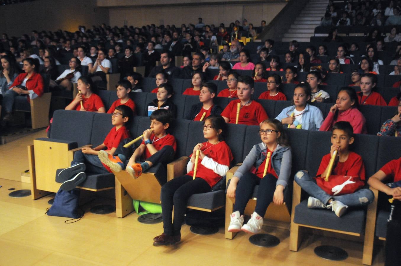 El programa vincula la sala de conciertos y la orquesta sinfónica con el aula de música de primaria, con el fin de explorar el repertorio orquestal, los fundamentos técnicos de la música así como el trabajo creativo y la composición, abordando el plan de estudios musical de manera práctica. Los estudiantes que participan en el programa Link Up (de 8 a 11 años de edad) asisten al final a un concierto participativo donde cantan, bailan y tocan la flauta dulce e instrumentos sinfónicos con la orquesta desde sus propios asientos.