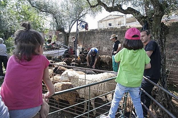 Participantes en la jornada lúdico-educativa en la Ribera. :: j. rey