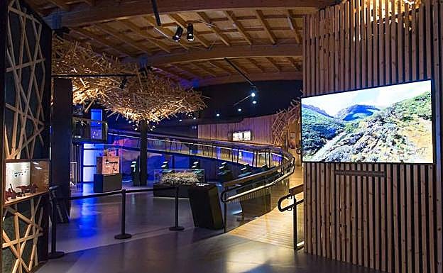 Interiro de las instalaciones:: HOY