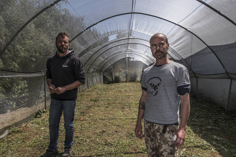 Antonio Pinilla y Álvaro Guerrero en el cañón de vuelo ideado en AMUS.