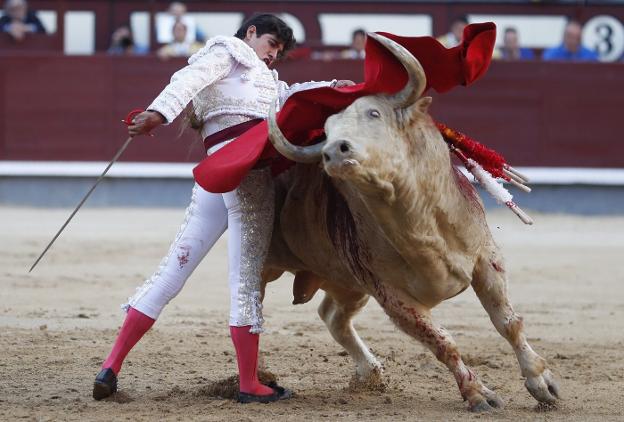 El diestro mexicano Luis David Adame, da un pase a su primer toro, 'Ombú', al que cortó una oreja. :: efe