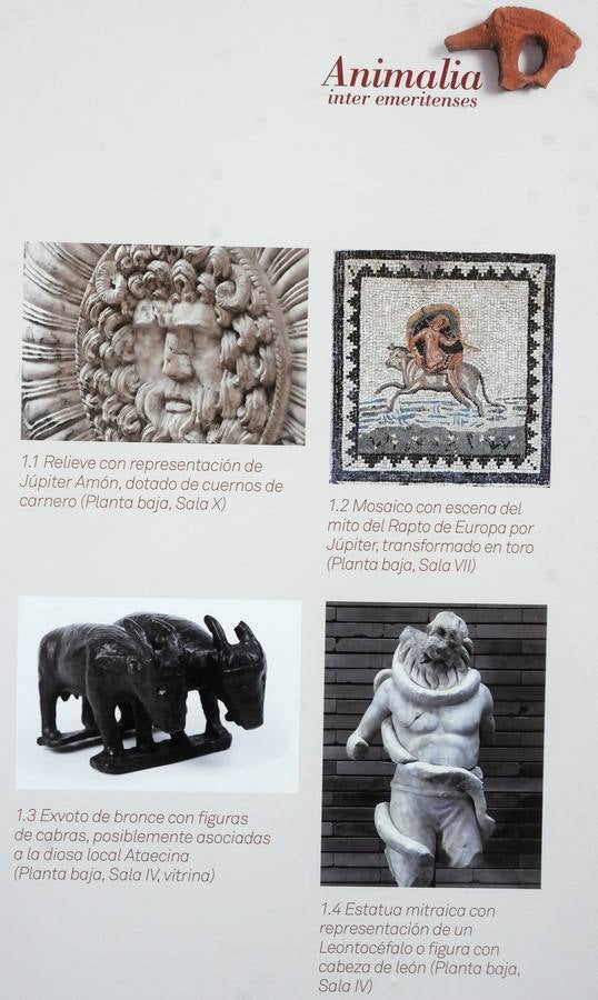 El Museo Nacional de Arte Romano de Mérida ofrecerá la exposición temporal 'Animalia Inter Emeritenses'