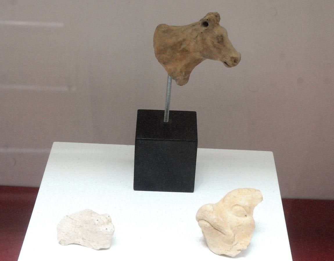 El Museo Nacional de Arte Romano de Mérida ofrecerá la exposición temporal 'Animalia Inter Emeritenses'