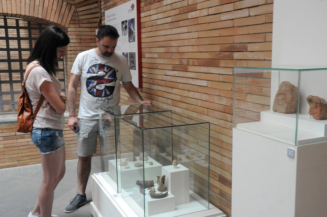 El Museo Nacional de Arte Romano de Mérida ofrecerá la exposición temporal 'Animalia Inter Emeritenses'