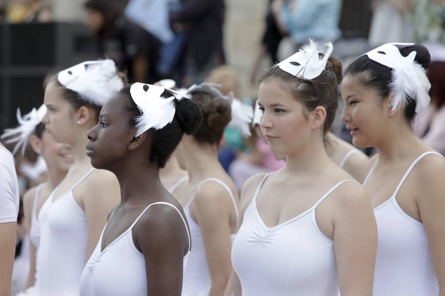 Fotos: Clausura del X Festival de las Aves de Cáceres