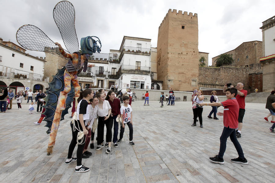 Fotos: Clausura del X Festival de las Aves de Cáceres