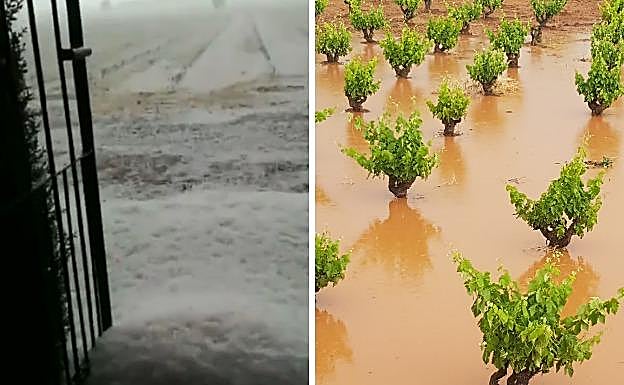 Fuerte granizada en Santa Amalia y daños en viñedos de Arroyo de San Serván:: HOY