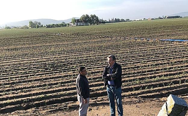 La Junta valora 'in situ' los daños de las tormentas en explotaciones agrarias