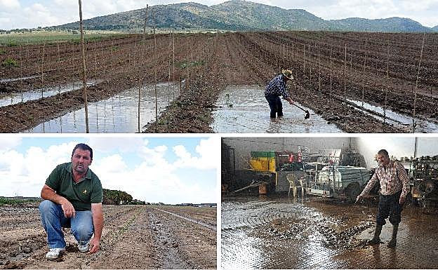 Imagen. Daños registrados en Santa Amalia y Arroyo de San Serván.