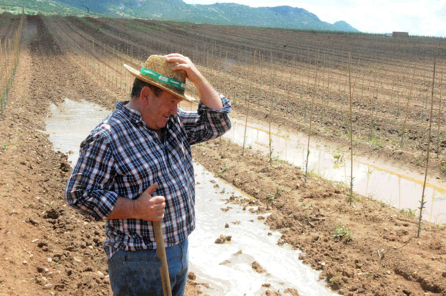 Daños en Arroyo de San Serván.